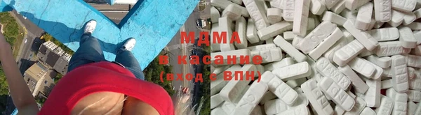 индика Арсеньев